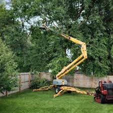 Best Tree Health Inspection  in Riverside, MD