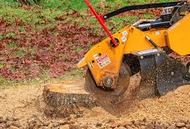 Best Arborist Consultation Services  in Riverside, MD